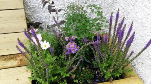 Bench/planter