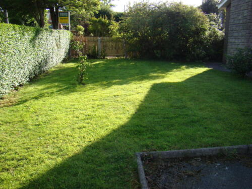 Before