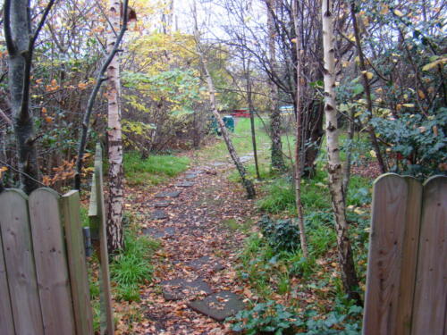 RETNS 06b Forest pathway Before