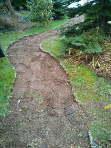 CS 06 Forest footpath, before