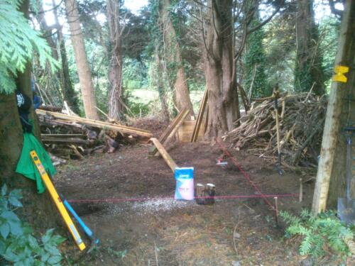 JQ Forest clearing, before
