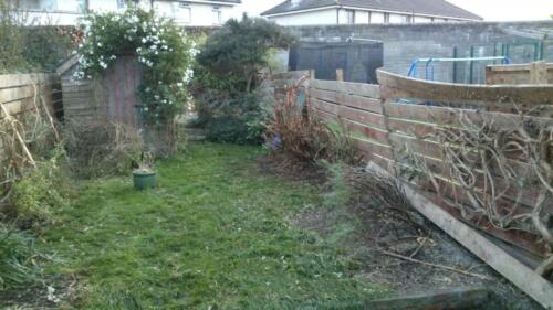 EW 02 Before