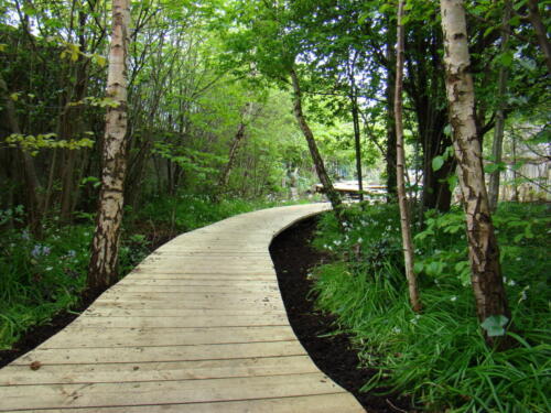 RETNS 07 Forest pathway After